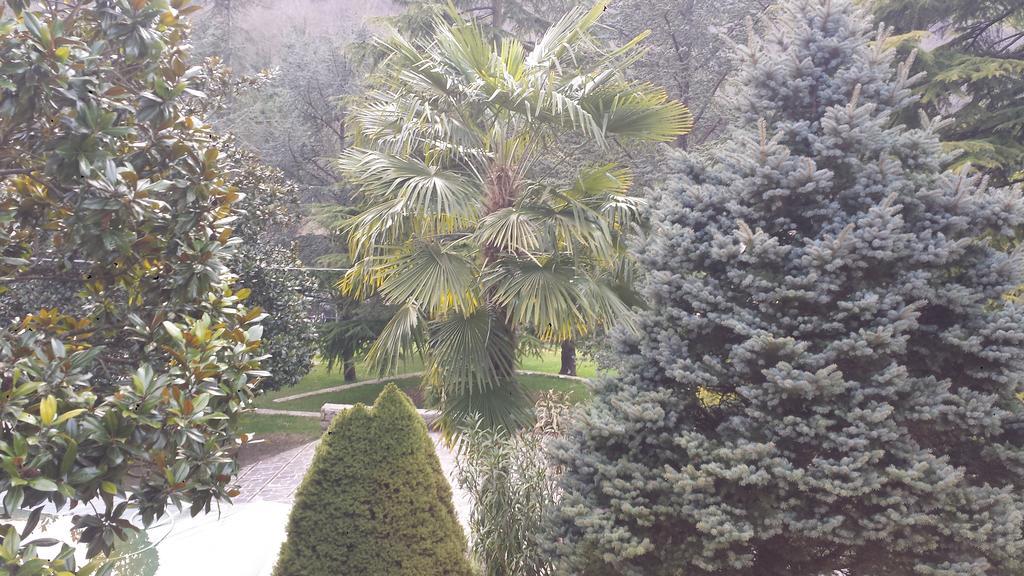 Bed and Breakfast Fontana Vecchia Atina Exterior foto